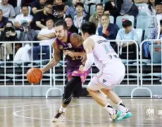 mk体育管理_cba广东宏远队拜年